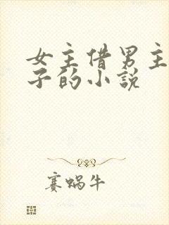 女主借男主生孩子的小说