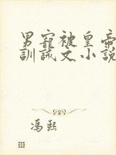 男宠被皇帝挨打训诫文小说