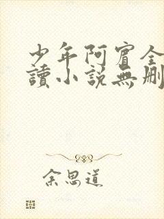 少年阿宾全文阅读小说无删减
