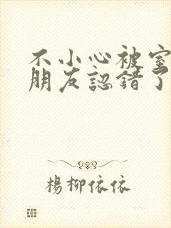 不小心被室友男朋友认错了小说