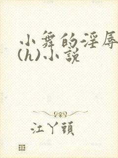 小舞的淫辱日记(h)小说