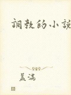 调教的小说h封面