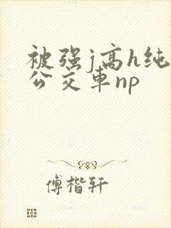 被强j高h纯肉公交车np