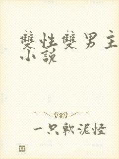 双性双男主高h小说封面