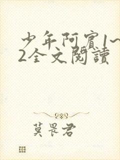 少年阿宾1~72全文阅读封面