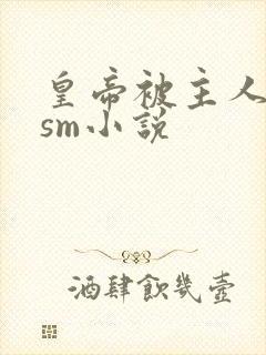 皇帝被主人调教sm小说