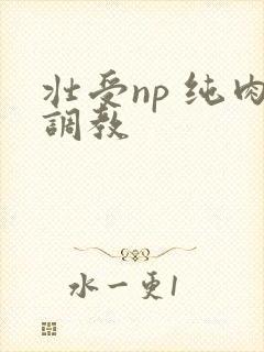 壮受np 纯肉调教