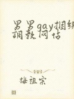 男男gay捆绑调教网站封面