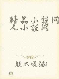 精品小说网站同人小说网