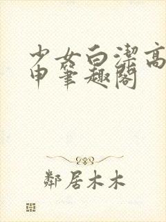 少女白洁高义王申笔趣阁