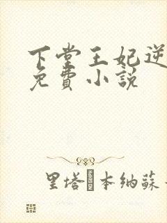 下堂王妃逆袭记免费小说封面