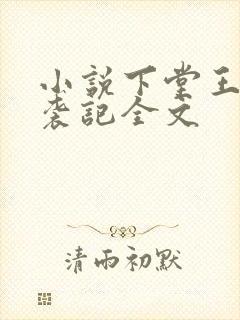 小说下堂王妃逆袭记全文