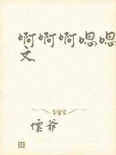 啊啊啊嗯嗯嗯h文封面