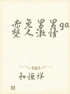 赤兔男男gay双人激情