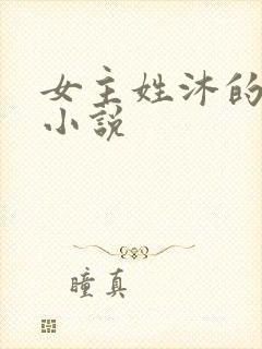 女主姓沐的现代小说