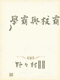 学霸与校霸(双)