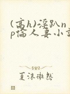 (高h)淫趴np伦人妻小说