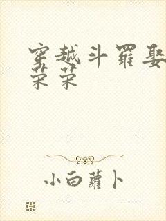 穿越斗罗娶了宁荣荣