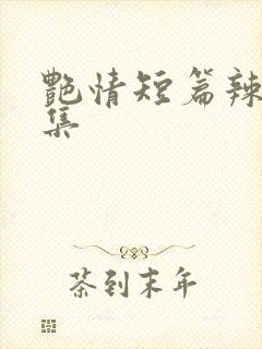 艳情短篇辣文合集封面