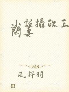 小说摄政王的小闲妻