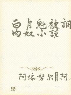 白月魁被调教成肉奴小说