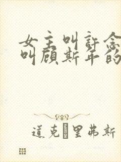 女主叫许念男主叫顾斯年的小说名字