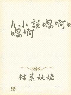 h小说嗯啊嗯啊嗯啊