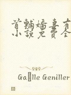 首辅娇妻有空间小说免费全文阅读封面