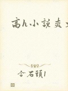 高h小说爽文封面