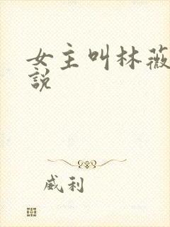 女主叫林薇的小说