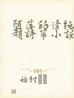 堕落的清纯校花赵诗宁小说免费阅读