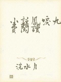 小说凤唳九天免费阅读