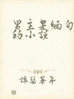 男主是缅甸军人的小说