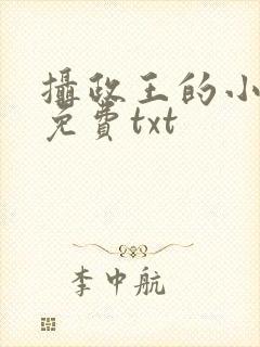 摄政王的小闲妻免费txt