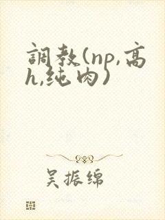 调教(np,高h,纯肉)