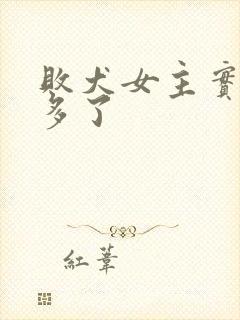 败犬女主实在太多了