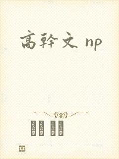 高干文 np封面