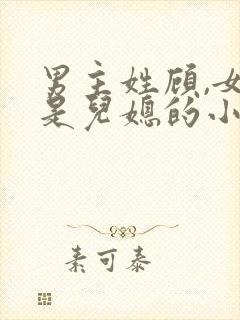 男主姓顾,女主是儿媳的小说