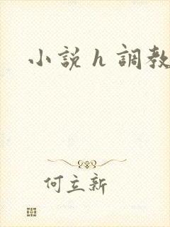 小说 h 调教