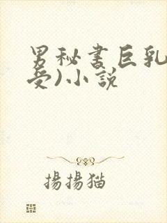 男秘书巨乳(骚受)小说