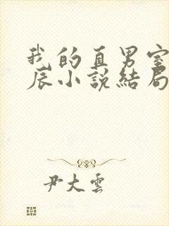 我的直男室友张辰小说结局