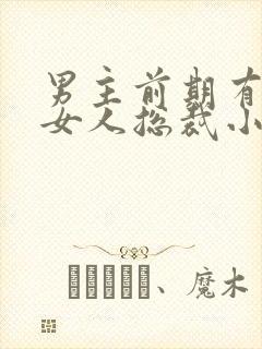 男主前期有很多女人总裁小说封面