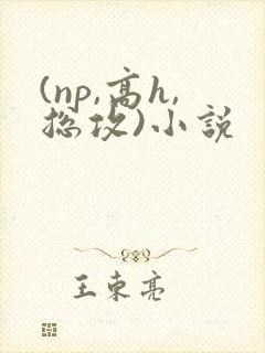 (np,高h,总攻)小说