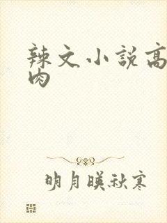 辣文小说高h纯肉