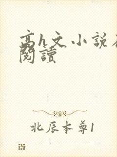 高h文小说在线阅读