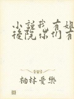 小说我有姐姐管后院你们有吗免费阅读