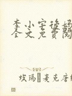 李小宇后妈小说全文免费阅读