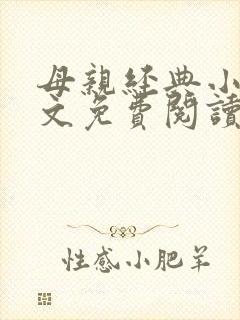 母亲经典小说全文免费阅读封面