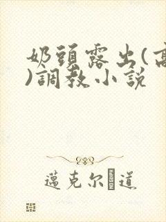 奶头露出(高h)调教小说