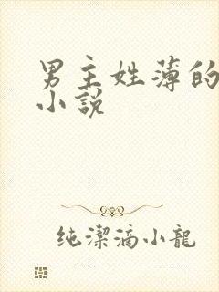 男主姓薄的总裁小说